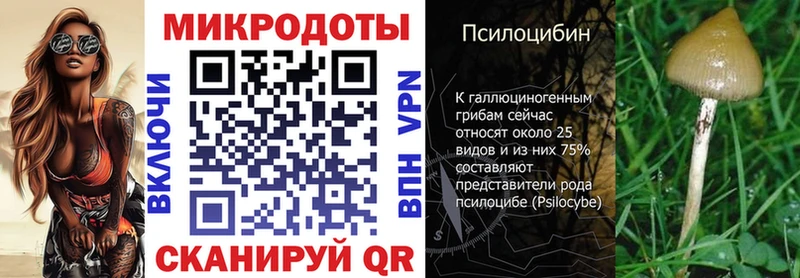 купить наркоту  kraken ссылки  Псилоцибиновые грибы мицелий  Емва 